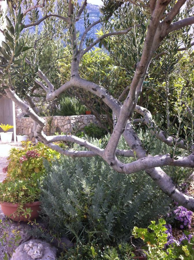 Apartman Stulic Makarska Exterior photo